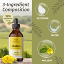 herbamama-mullein-leaf-extract-and-golde-6.jpg