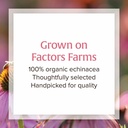 natural-factors-anti-v-liquid-formula----5.jpg