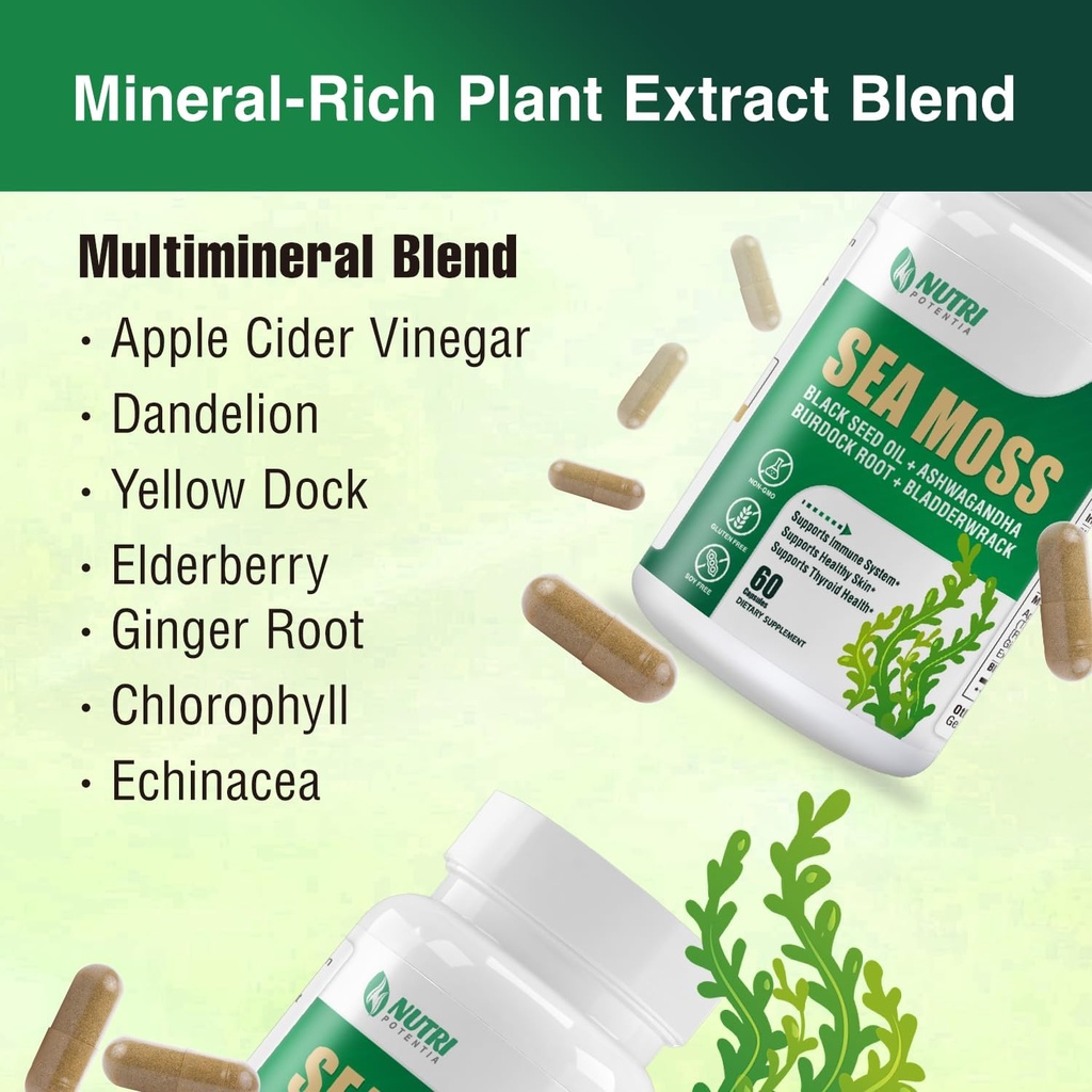 sea-moss-black-seed-oil-ashwagandha-ging-6.jpg
