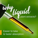herb-pharm-certified-organic-ginkgo-liqu-3.jpg