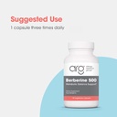 allergy-research-group-berberine-500mg-s-6.jpg