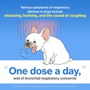 doctor-by-breath-bronchial-supplements-f-3.jpg