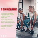 berberine-gummies-with-ceylon-cinnamon-1-5.jpg