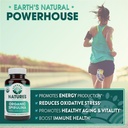 usda-organic-spirulina-tablets---non-gmo-2.jpg