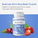 ez-melts-dissolvable-sam-e-supplement-20-6.jpg
