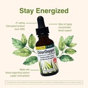 herbs-etc-chloroxygen-chlorophyll-concen-4.jpg