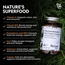 first-light-farms-freeze-dried-wagyu-bee-2.jpg