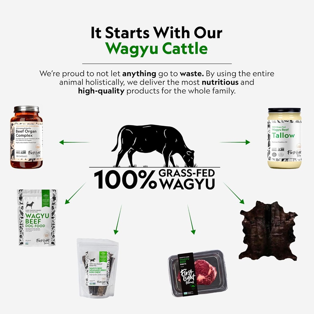 first-light-farms-freeze-dried-wagyu-bee-3.jpg