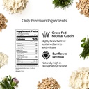 promix-nutrition-casein-protein-powder---4.jpg