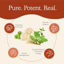 real-mushrooms-realclarity-60ct-and-lion-4.jpg