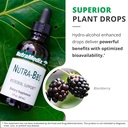nutramedix-nutra-bbs---liquid-herbal-sup-5.jpg