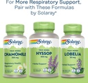 solaray-mullein-leaf-herbal-support-for--6.jpg