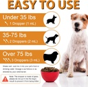 quercetin-for-dogs-dog-quercetin-liquid--3.jpg