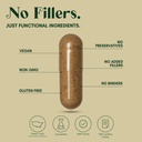 alpha-focus-nootropic---memory-and-focus-3.jpg