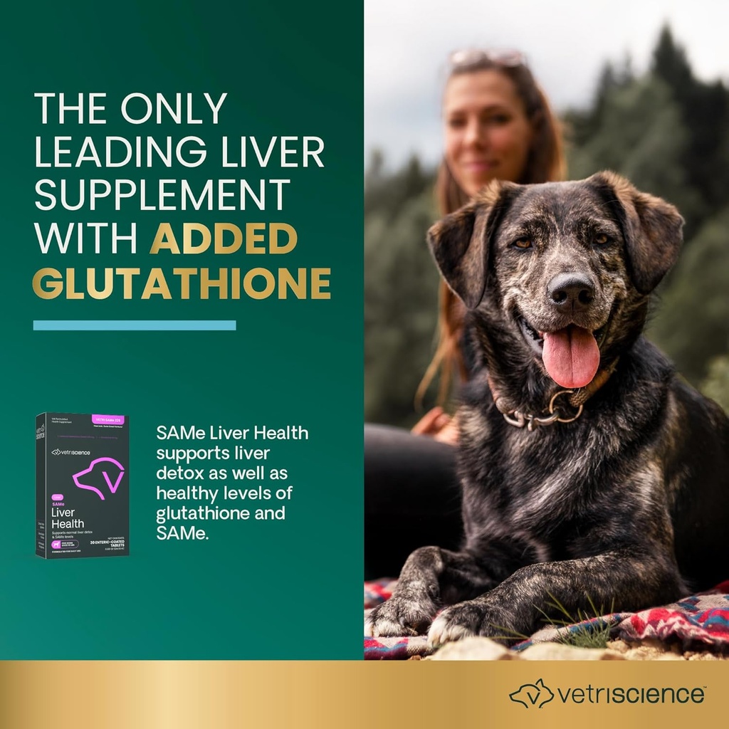 vetriscience-same-liver-health-tablets-2-3.jpg