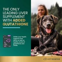vetriscience-same-liver-health-tablets-2-3.jpg
