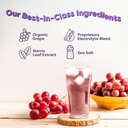 flavcity-grape-electrolytes-drink-mix-28-4.jpg