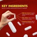 rize-labs-3-pack-arteris-plus-dietary-su-6.jpg