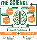 brainjuice-active-focus-energy-drink-sho-3.jpg