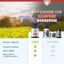 super-berberine-4250mg-4.jpg