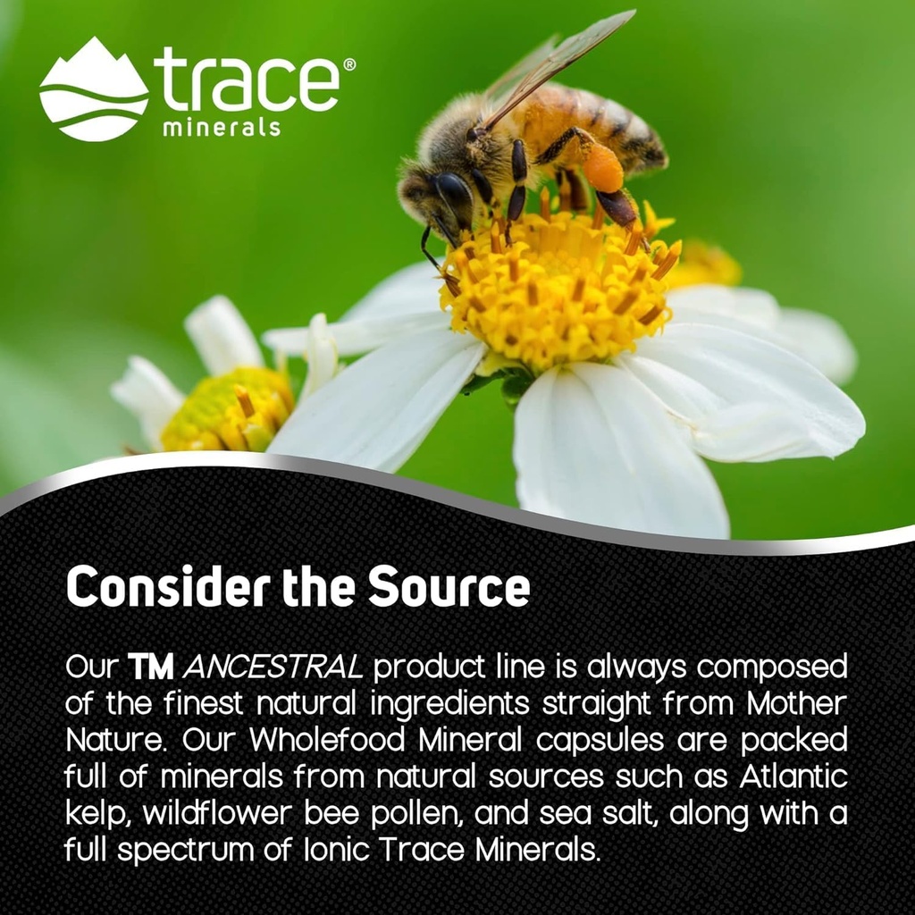 trace-minerals-wholefood-minerals---body-4.jpg