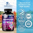 berberine-hcl-1200mg-supplement---berber-4.jpg