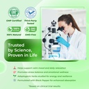 sotalix-kava-kava-supplement-with-ashwag-5.jpg