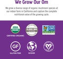om-mushroom-superfood-hot-chocolate-blen-4.jpg