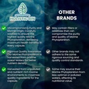 marine-phytoplankton-capsules-by-holisti-2.jpg