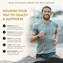 ancestral-supplements-mofo-supplements-f-4.jpg