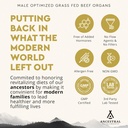 ancestral-supplements-mofo-supplements-f-5.jpg