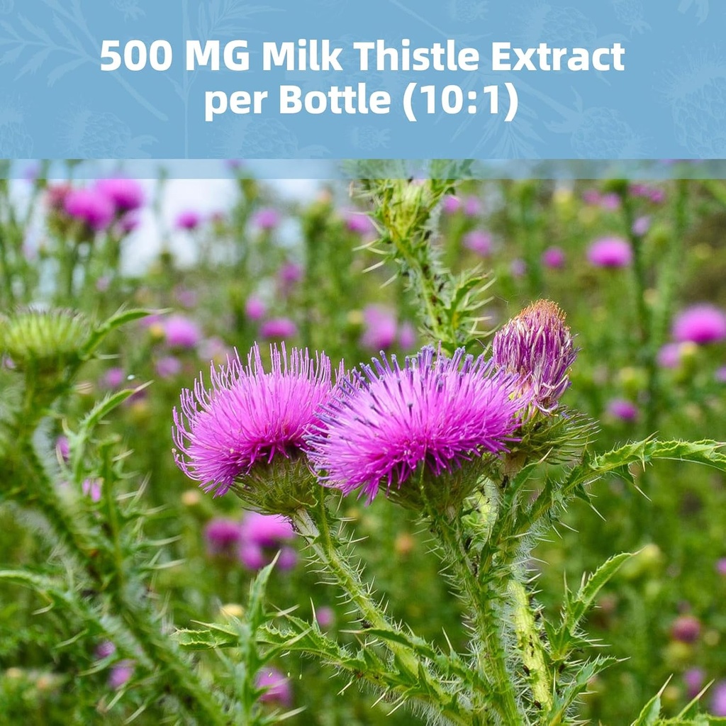 2-pack-milk-thistle-supplement-capsules--6.jpg