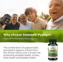 swanson-hyssop-450-milligrams-100-capsul-6.jpg