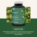 dr-fuhrmans-ldl-biotect-cholesterol-lowe-3.jpg