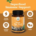 organic-irish-sea-moss-capsules---organi-3.jpg