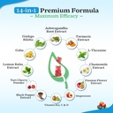 2-pack-ashwagandha-gummies-with-turmeric-3.jpg