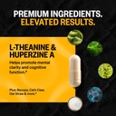 onnit-premium-alpha-brain-bundle---nootr-4.jpg
