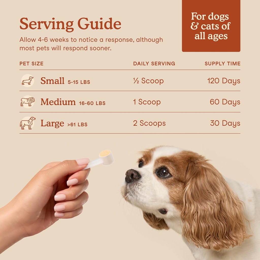 fera-pets-probiotics-for-dogs-cats-with--4.jpg