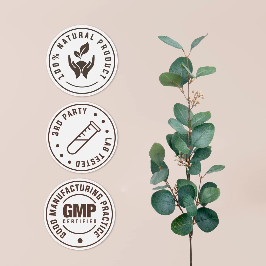 bacopa-usda-organic-alcohol-free-extract-4.jpg