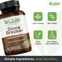 bleaf-nature-chanca-piedra-stone-breaker-3.jpg
