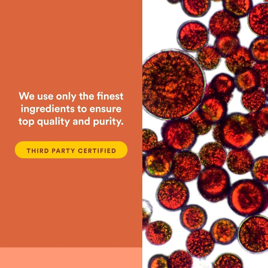 natural-factors-astaxanthin-plus-4mg-60--5.jpg