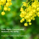 nutricology-berberine-500mg-supplement---3.jpg
