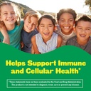 lil-critters-kids-immune-vitamin-gummies-3.jpg