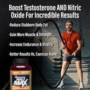 ageless-male-max-total-testosterone-boos-2.jpg