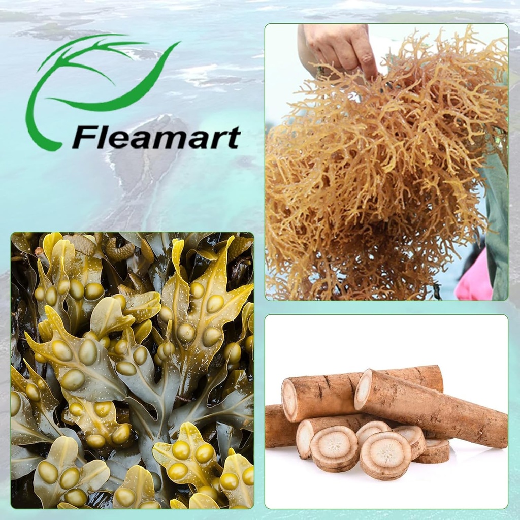 irish-sea-moss-capsules-120ct-raw-sea-mo-6.jpg