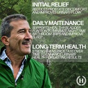 beta-sitosterol-mens-prostate-support-di-5.jpg
