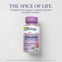 solaray-turmeric-supplement-600mg---turm-3.jpg