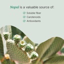 santo-remedio-nopal-chia-prickly-pear-ca-5.jpg