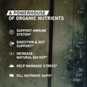 kaged-organic-greens-superfood-powder-ou-4.jpg