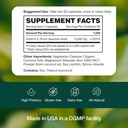 fresh-nutrition-liposomal-vitamin-c---20-6.jpg